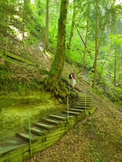 orig.photo-2018-06-19-07-06-01